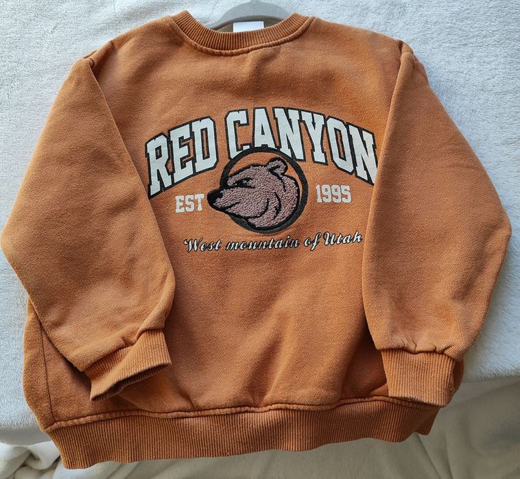 Bluza chłopięca Zara 98