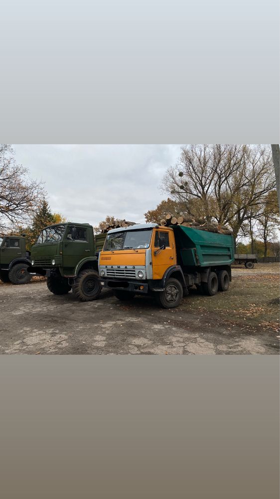 Дрова колоті, метрові