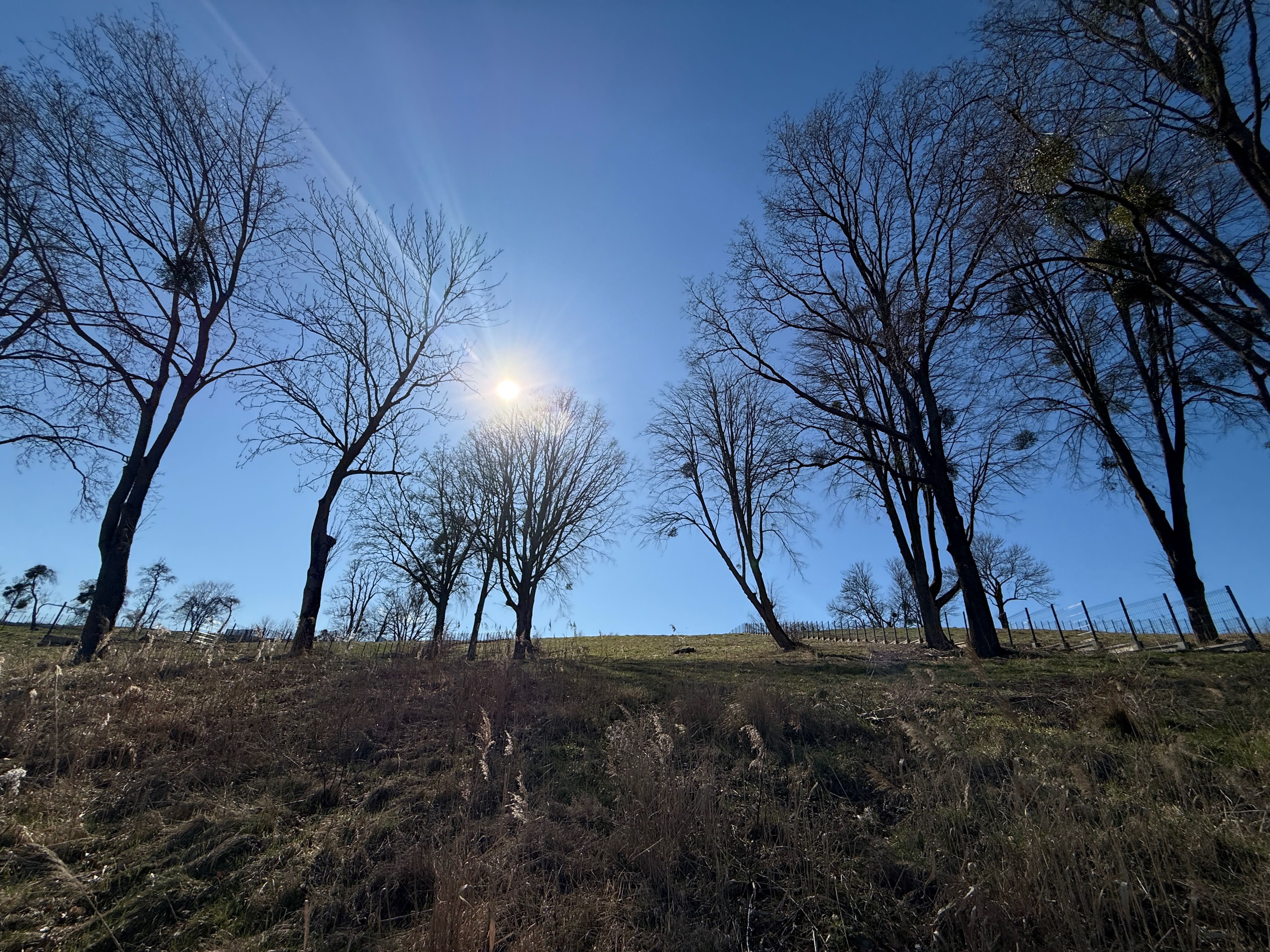 Działka z linią brzegową 5 min. od Olsztyna