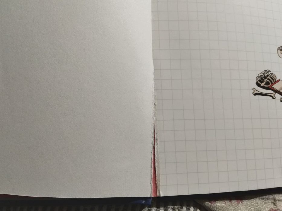 Книга Как устроено тело человека (Никола Кухарска)