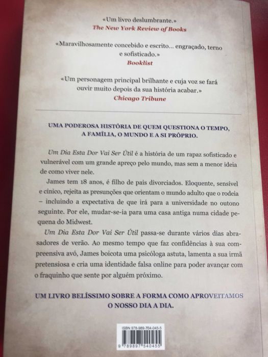 Um Dia Esta Dor Vai Ser Útil
de Peter Cameron