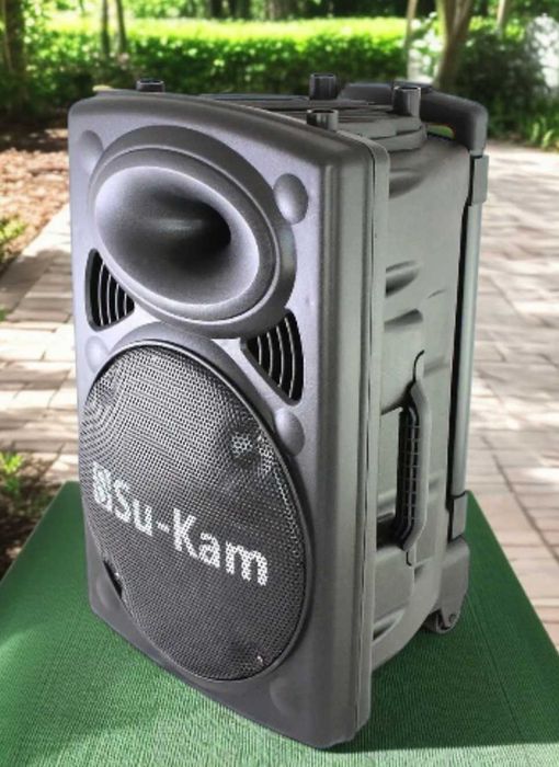 Потужна бездротова колонка з двома мікрофонами на колесах