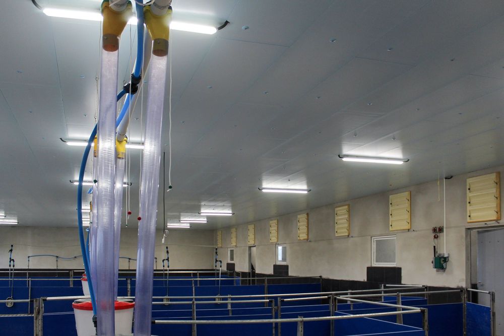 Podbitka Dachowa Budynku Inwentarskiego Magazynowego Styrodur XPS AGRO