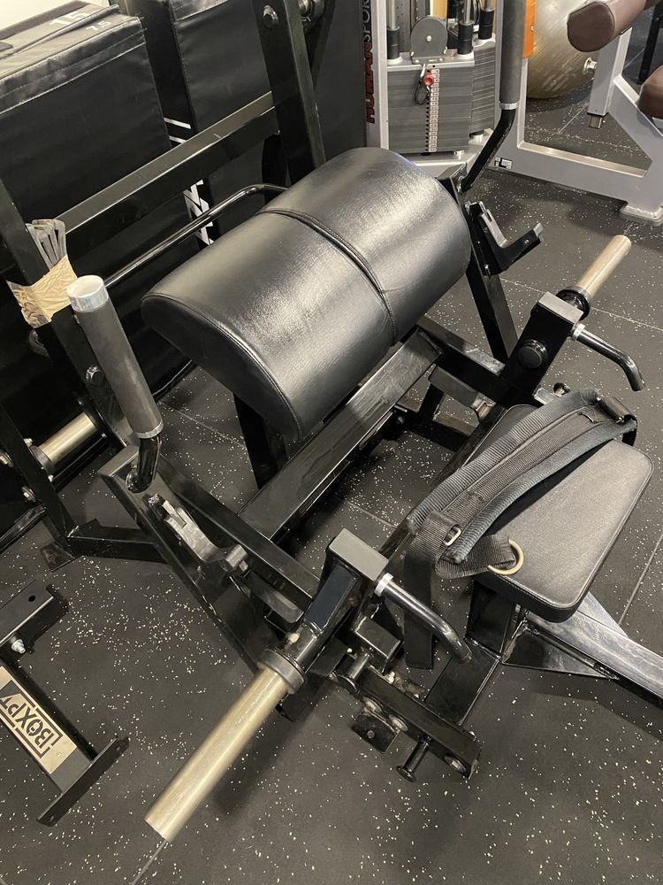 Hip Thrust  glute driver