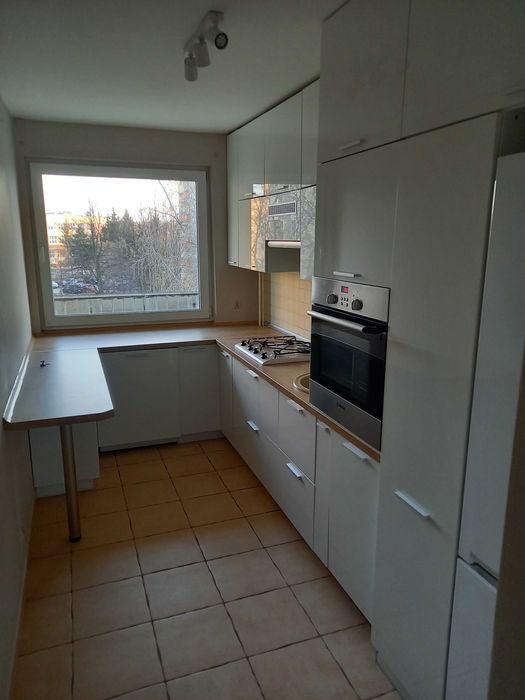 Dwupokojowe mieszkanie do wynajęcia osiedle Niwa