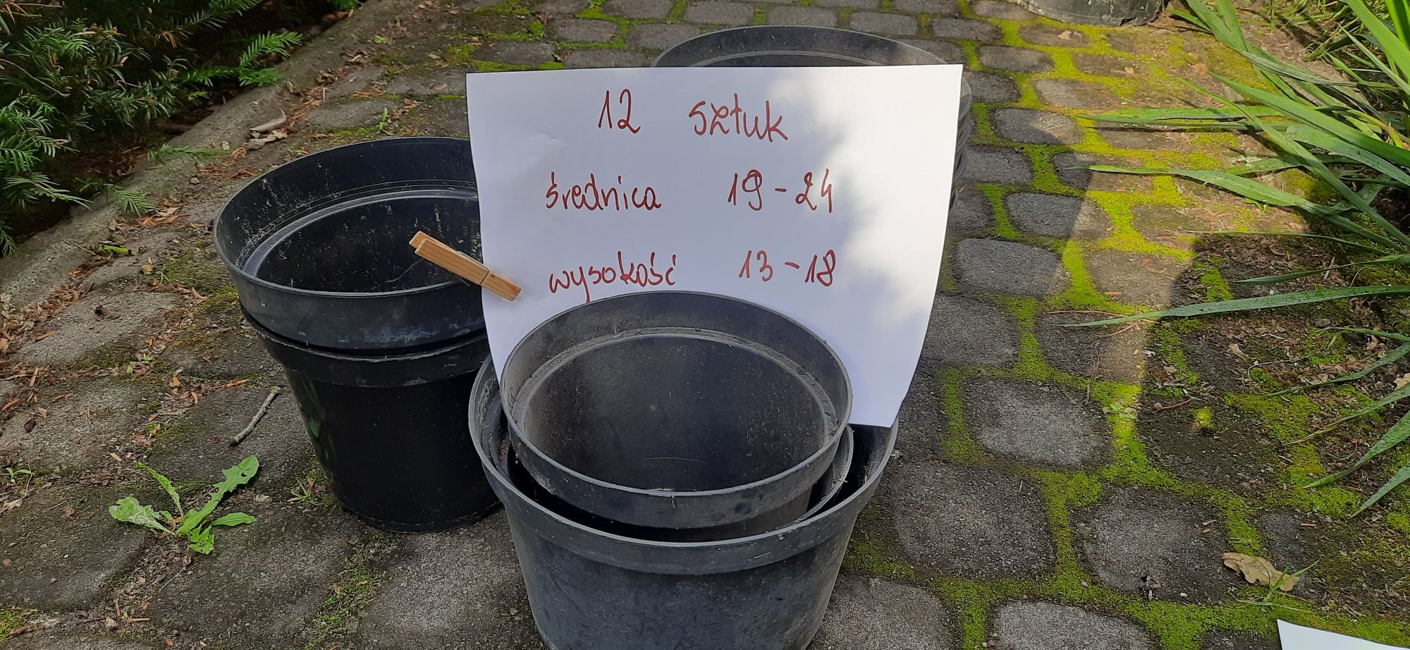 Doniczki produkcyjne oddam za 1 zł