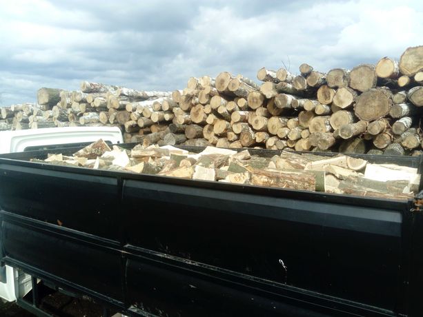 Drewno kominkowe(opałowe) Szybki termin dostawy