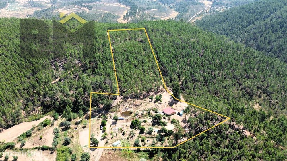 Quinta  Venda em Almaceda,Castelo Branco