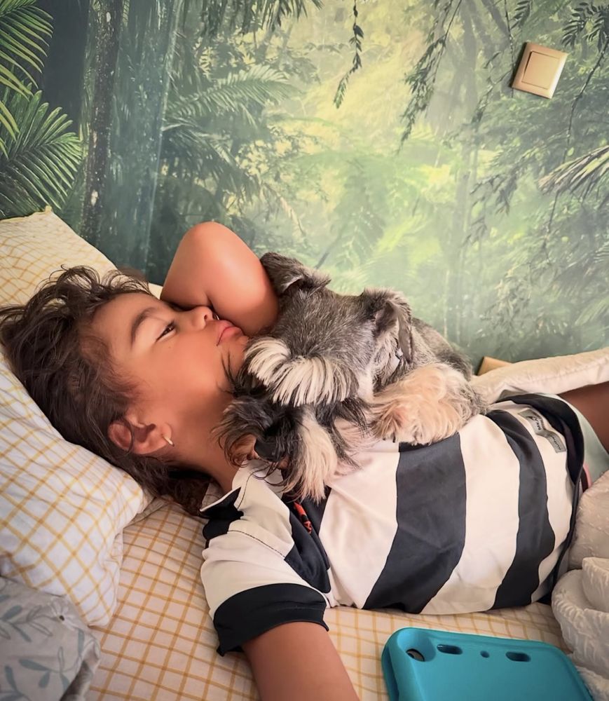 Estadia para o teu animal de estimação