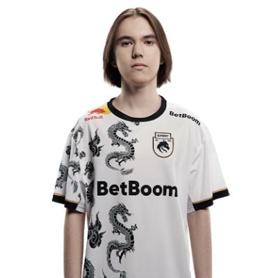 Джерсі Team Spirit donk25 season 2023-2024