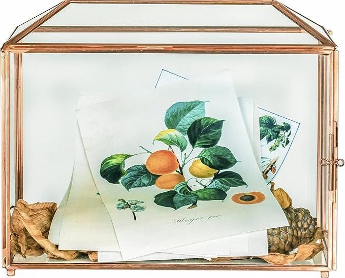 NCYP Szklane pudełko w kolorze różowego złota 26 x 15 x 20,3 cm