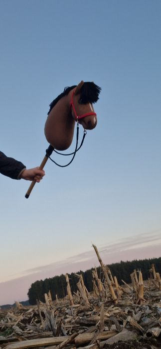 Sprzedam hobby horse IGR