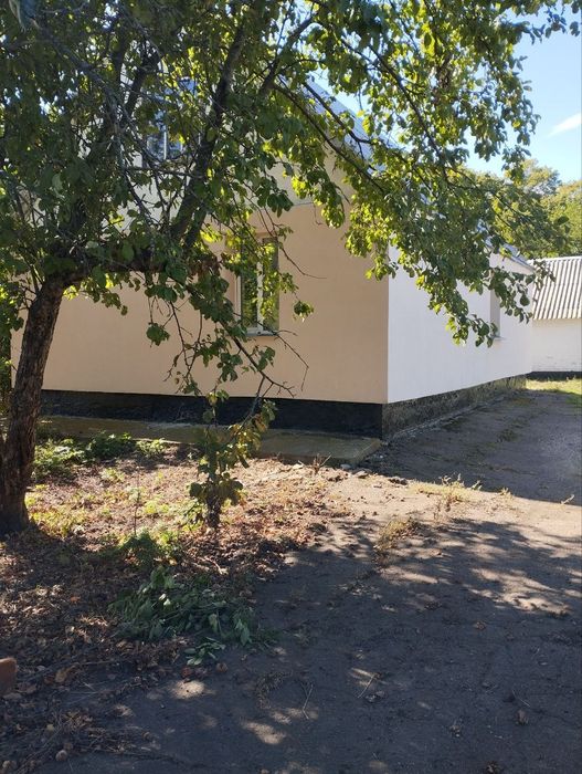 Продаж будинку в селі Вільшанка