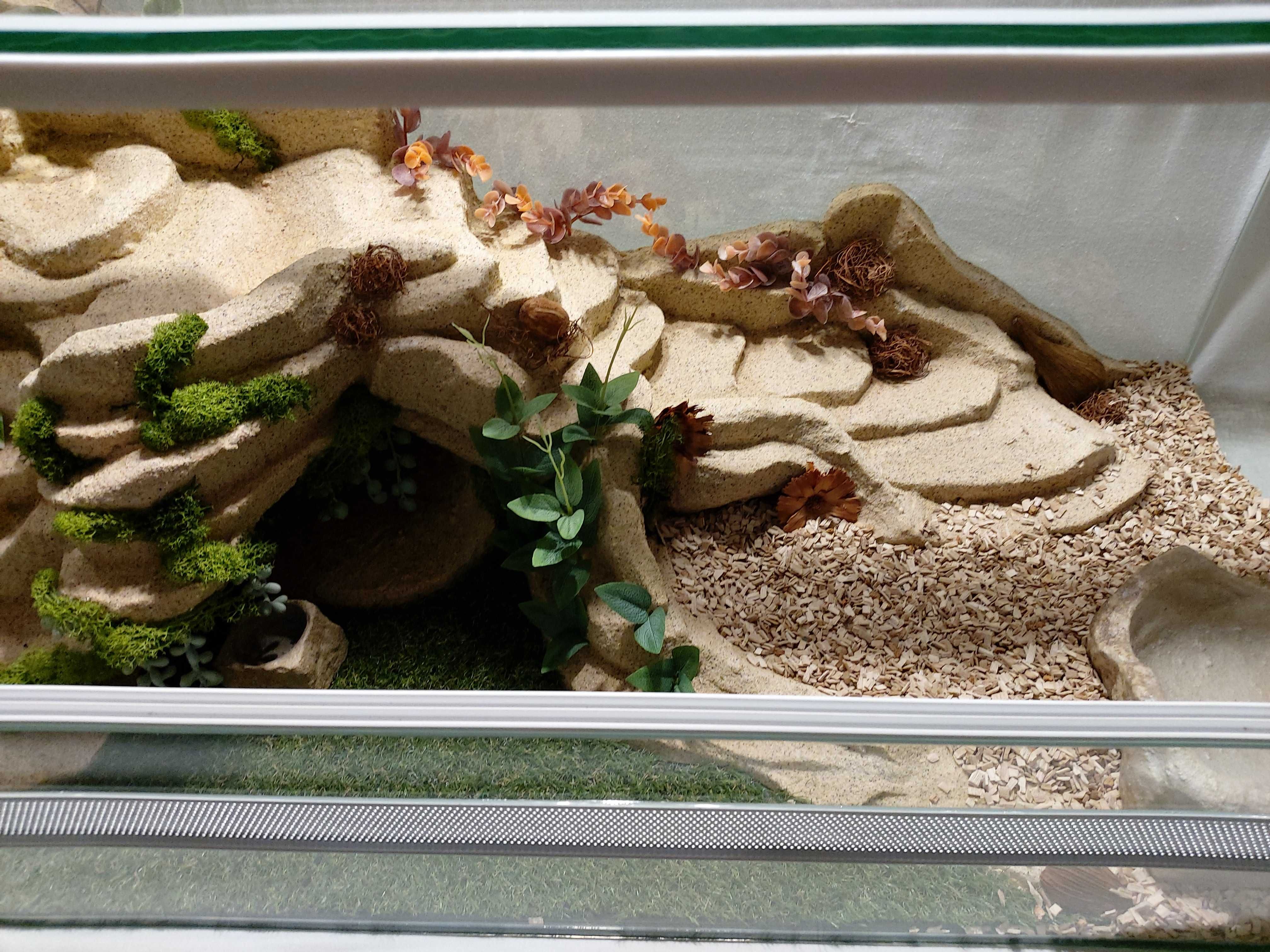 Terrarium dla żółwia greckiego, stepowego, TW10Ż, AquaWaves