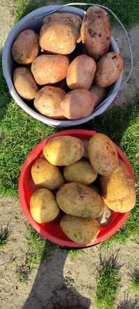 Pyszne ziemniaki