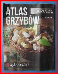 Atlas grzybów cz. I - Jadalne - Gazeta Wyborcza