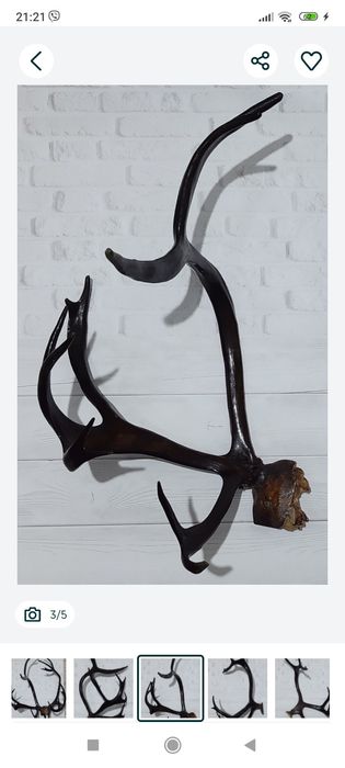 Рога интерьер декор вешалка.