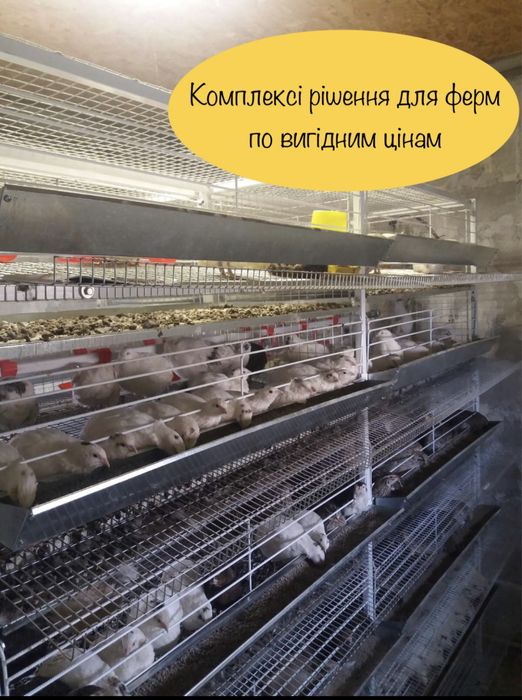 Клітка для перепелів. Клетка для перепелов
