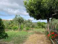 Terreno Particular com Viabilidade de construção em Mangualde