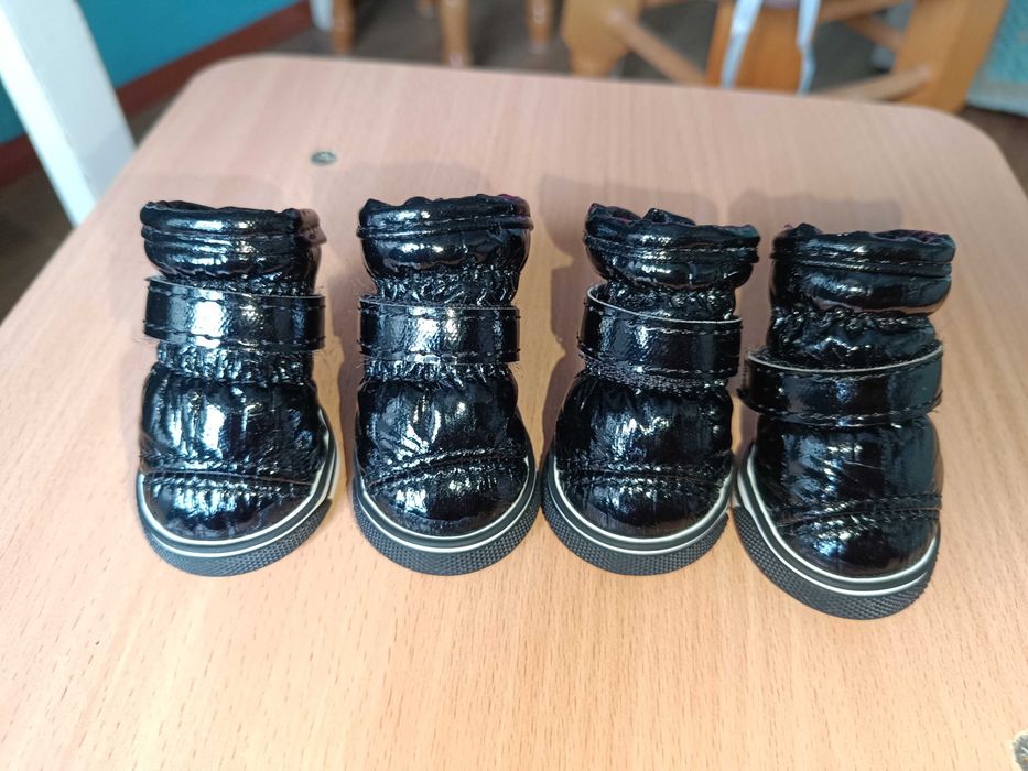 Ботиночки, взуття для маленьких собак