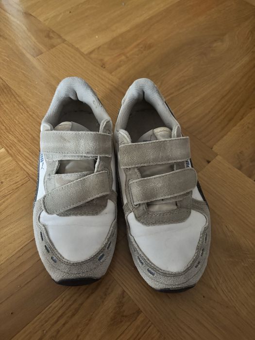 Bury chłopięce puma