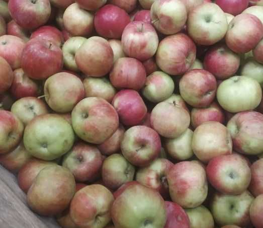 Jabłka Eliza  10kg idared 10kg z własnego sadu