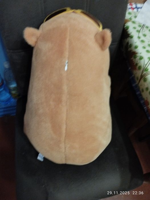 Продам капібару,майже нова