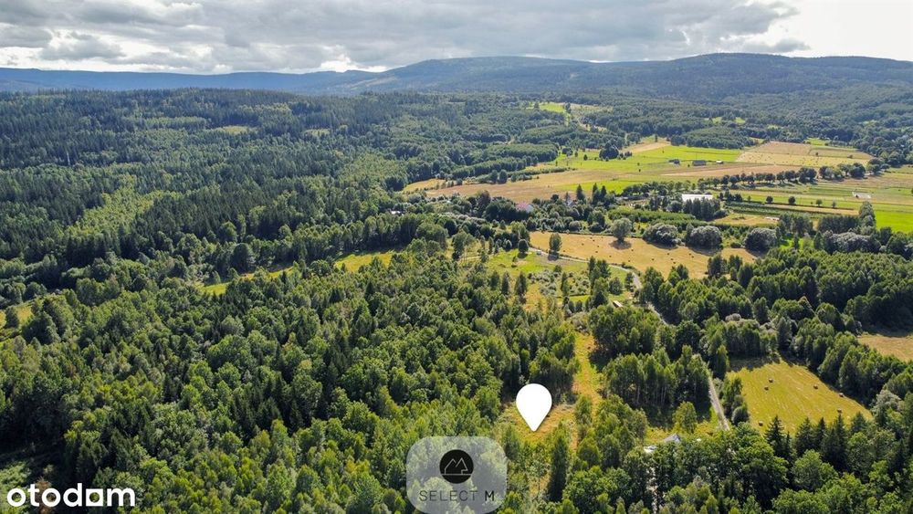 Urokliwa działka z przyłączem energetycznym