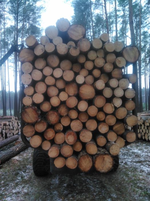 Drewno opałowe- kominkowe suche