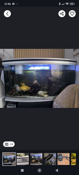 Aquário Aquatlantis panorâmico120x45x60