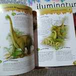 Livros juvenis super originais e didáticos