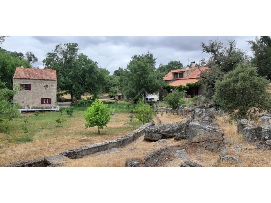 Moradia independente T5 na Ribeira da Ocreza, Alcains