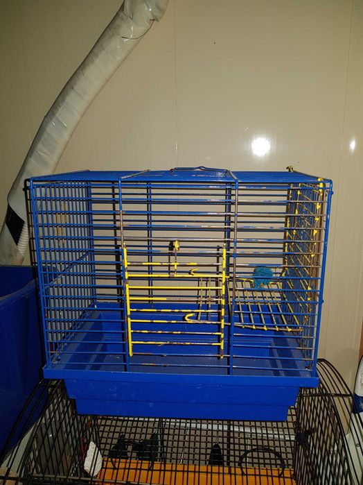 Клітка для гризунів, безкоштовно