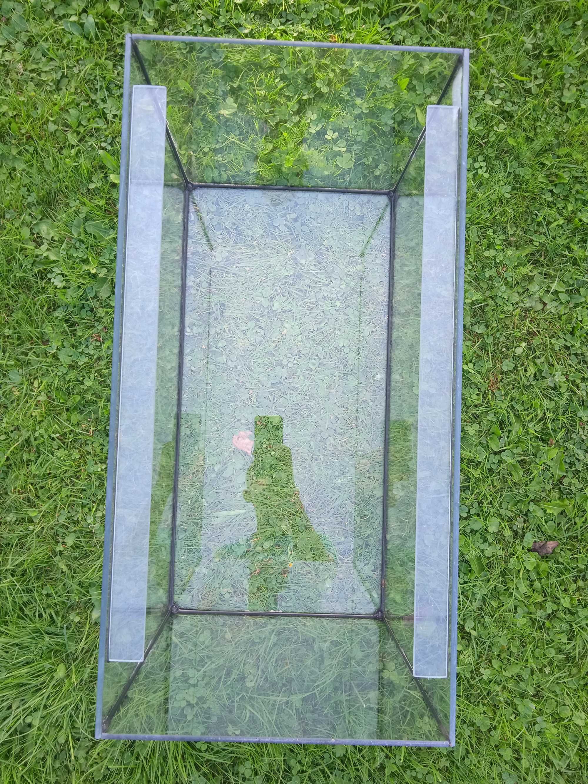 Szklane Terrarium