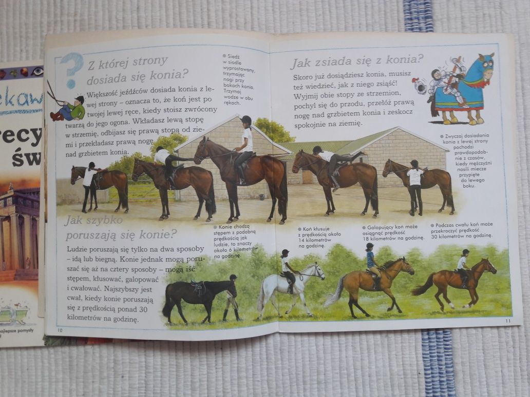 Ksiazki dla dzieci Ciekawe dlaczego pytania na temat koni Grecji