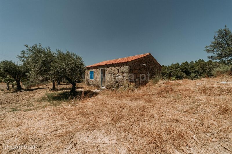 Quinta T1 / Fundão, Martianas