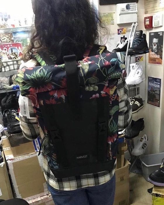 Кеди converse all star Chuck Taylor олд скул Vans KNU Skool кну sk8 70