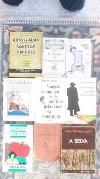 Conjunto +60 livros autores portugueses lusofonos