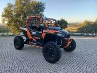 Polaris RZR 1000