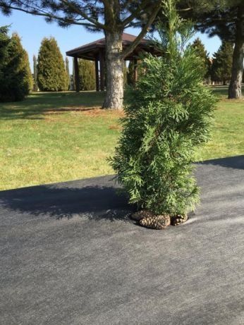 Agrowłóknina biała i czarna