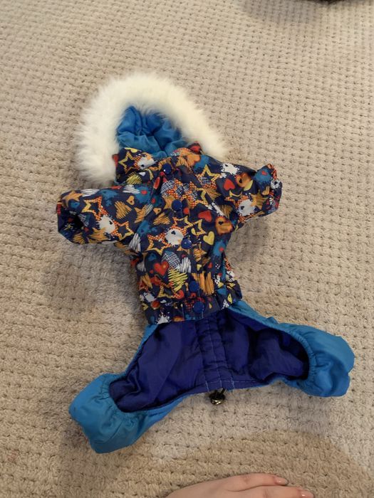 Дощовик, зимовий комбінезон для собак маленької породи