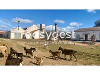 Quinta com armazéns industriais e maquinaria em Garvão, Santa Luzia
