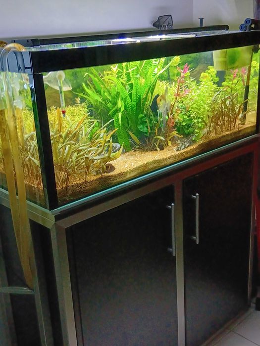Aquario 100x40x40 160 litros