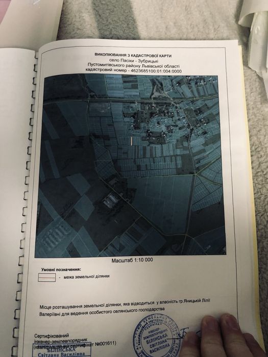 Пасіки зубрицькі