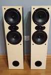 Kolumny WOODEN LOUD SPEAKER bardzo dobry stan