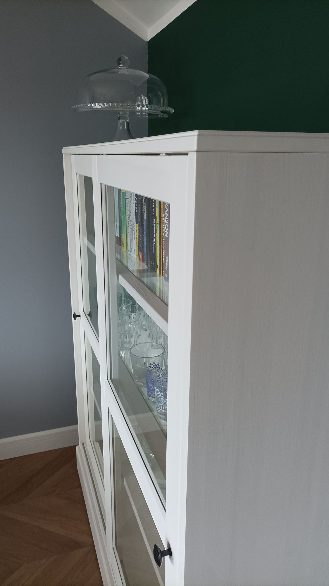 Szafa Witryna Ikea Havsta