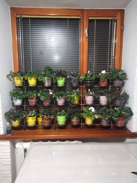 Ковані підставки для квітів