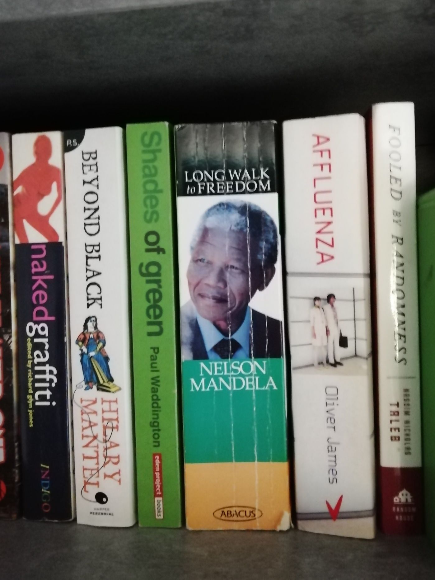 Mix książek po 20 złotych Mandela Mantel James Taleb Waddington