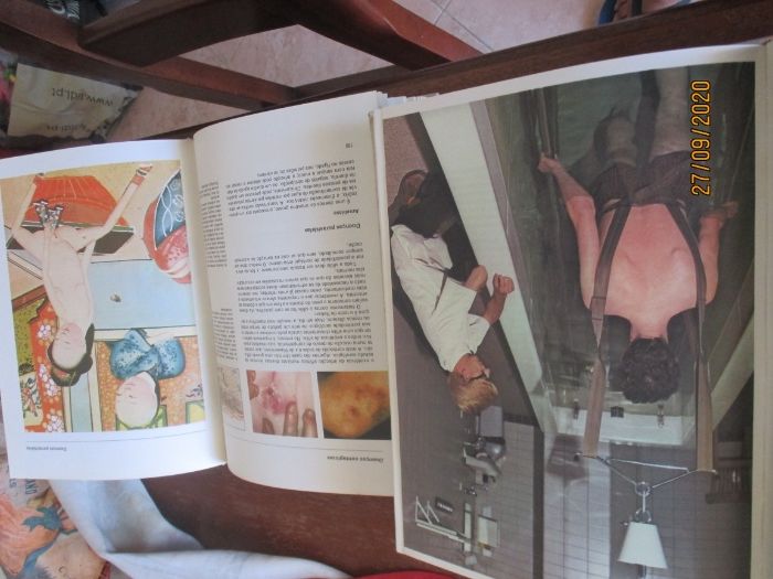 4 volumes da enciclopédia - O livro do casal