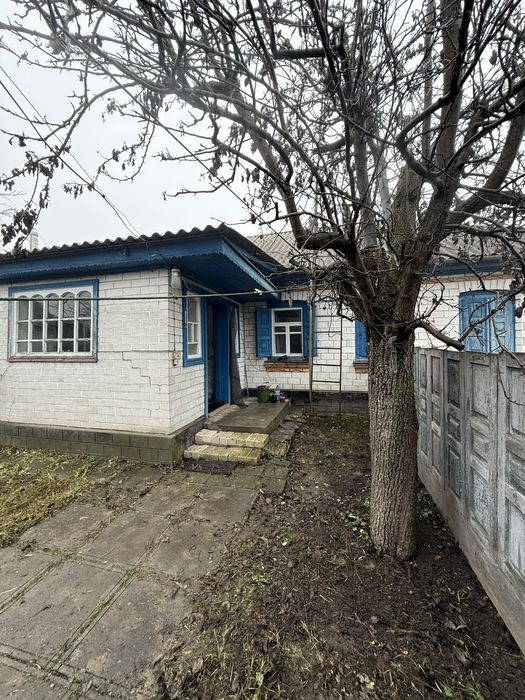 Будинок в жилому стані, Худяки